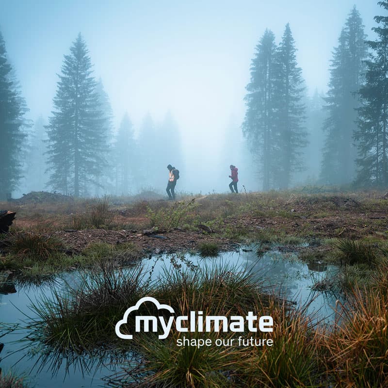 Beyond Carbon: Die Kraft der Moore – Wie Biodiversität zum Erfolgsfaktor wird