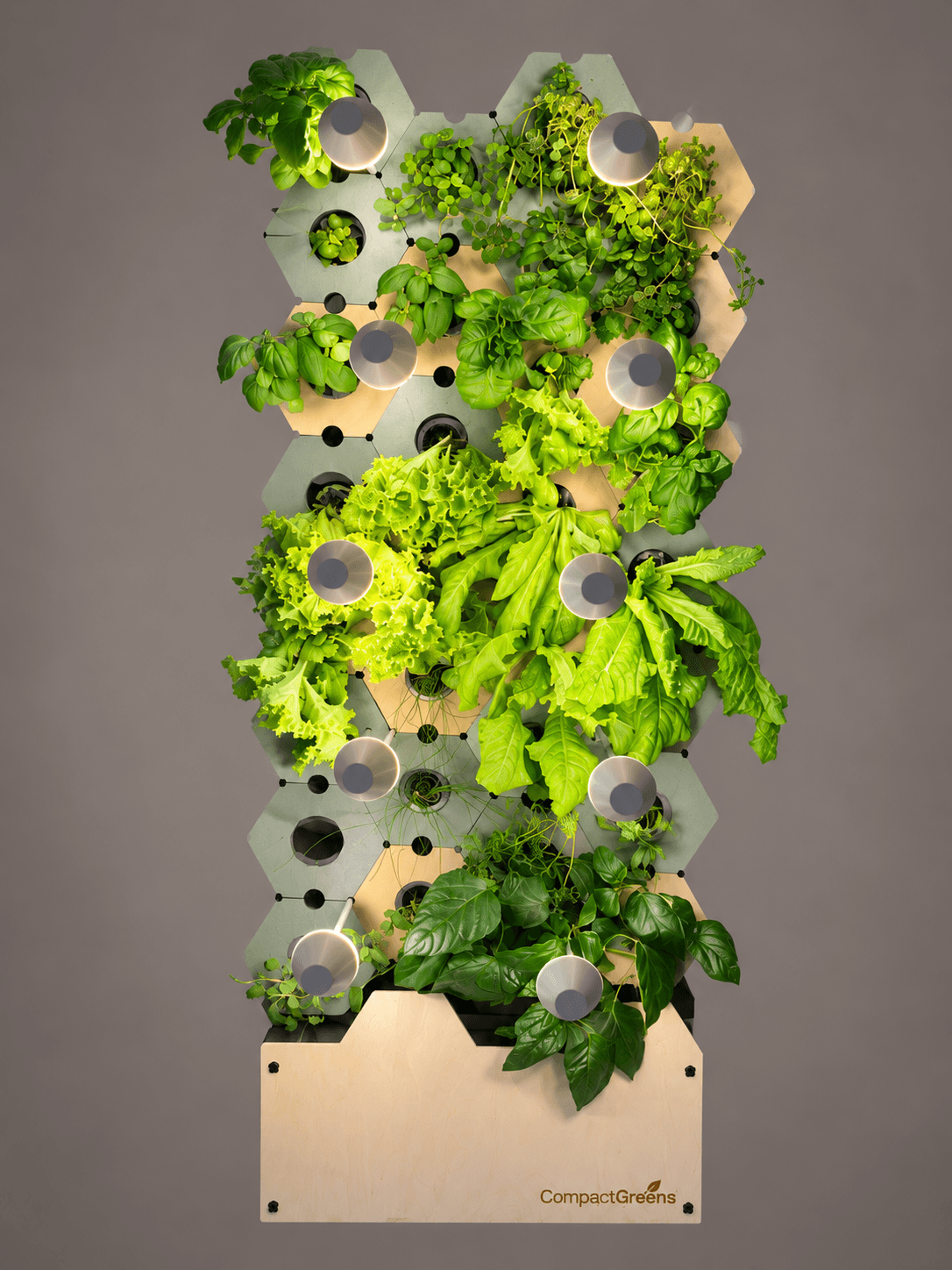 Homegrown: How Vertical Farming Could Change the Way We Eat