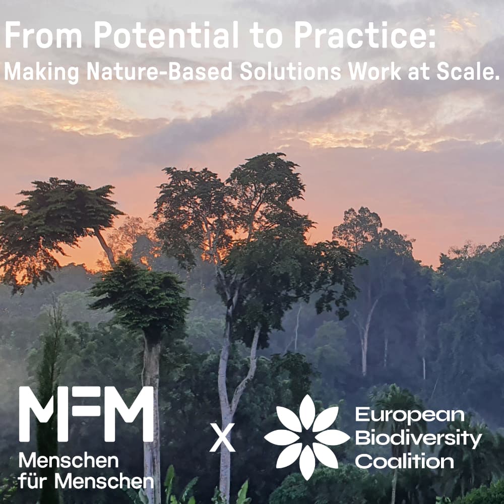 From Potential to Practice: Making Nature-Based Solutions Work at Scale.