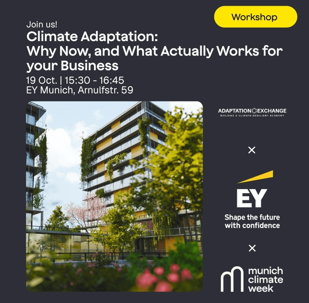 Climate Adaptation: Why Now, and What Actually Works for your Business
