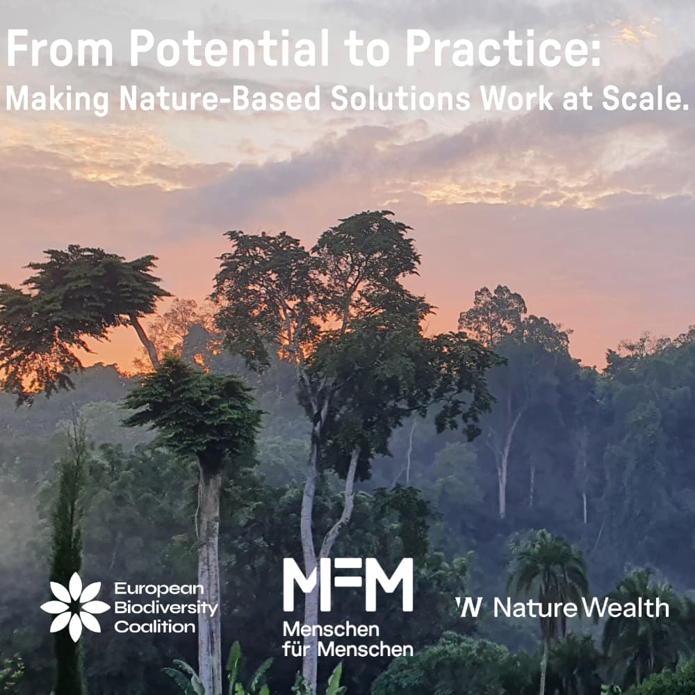 From Potential to Practice: Making Nature-Based Solutions Work at Scale.
