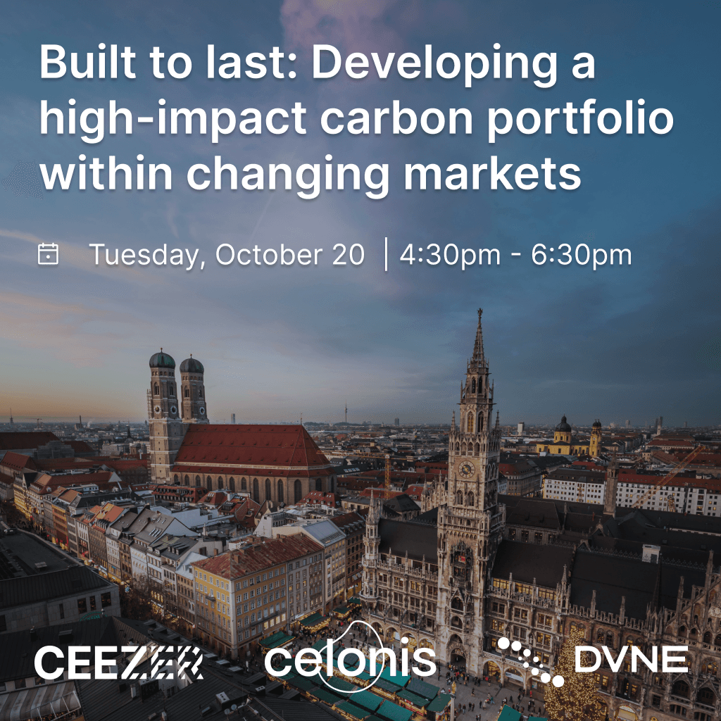 Built to last: Developing a high-impact carbon portfolio within changing markets