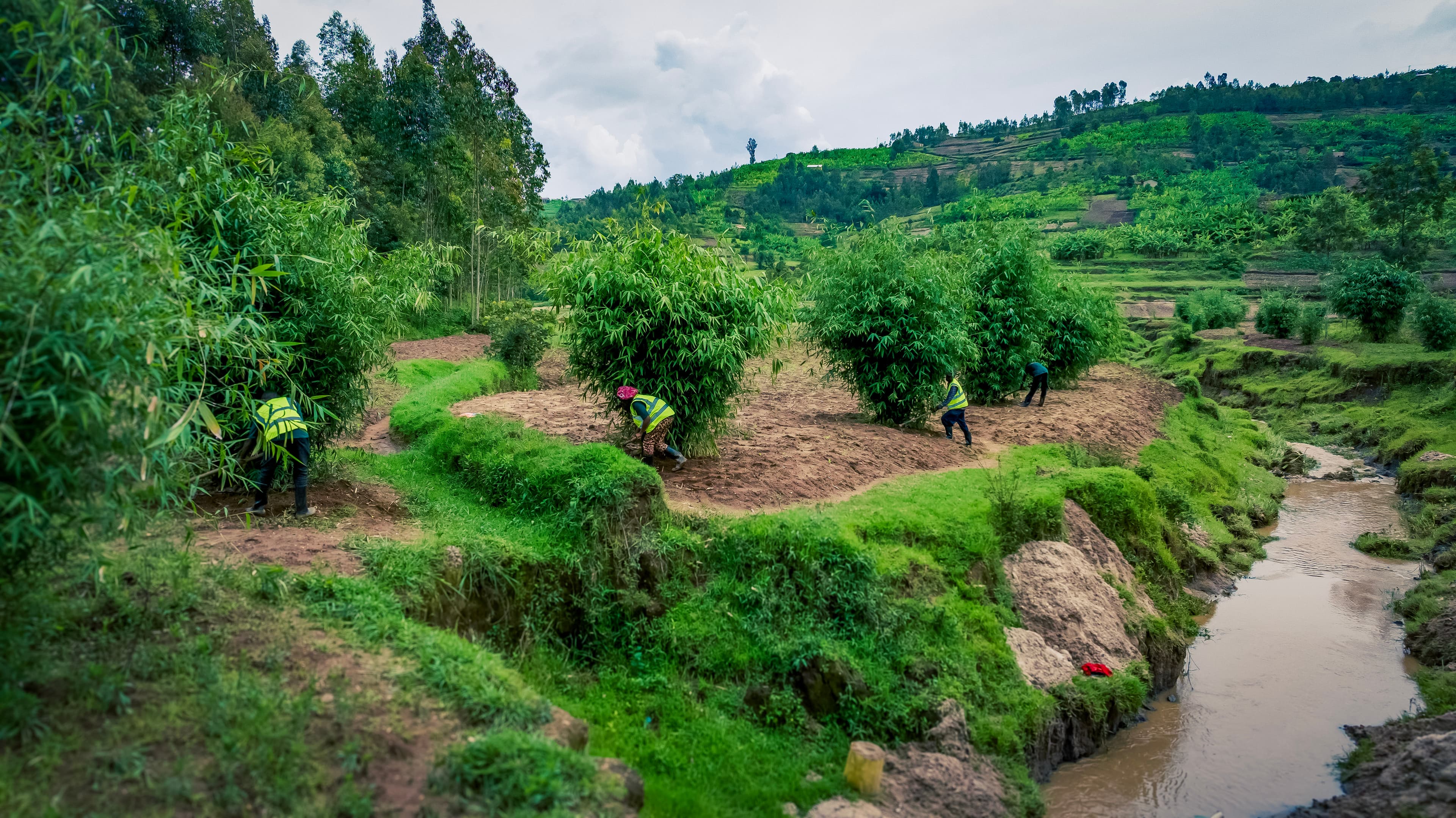 Experiencing the Rwanda Riparian Restoration Project