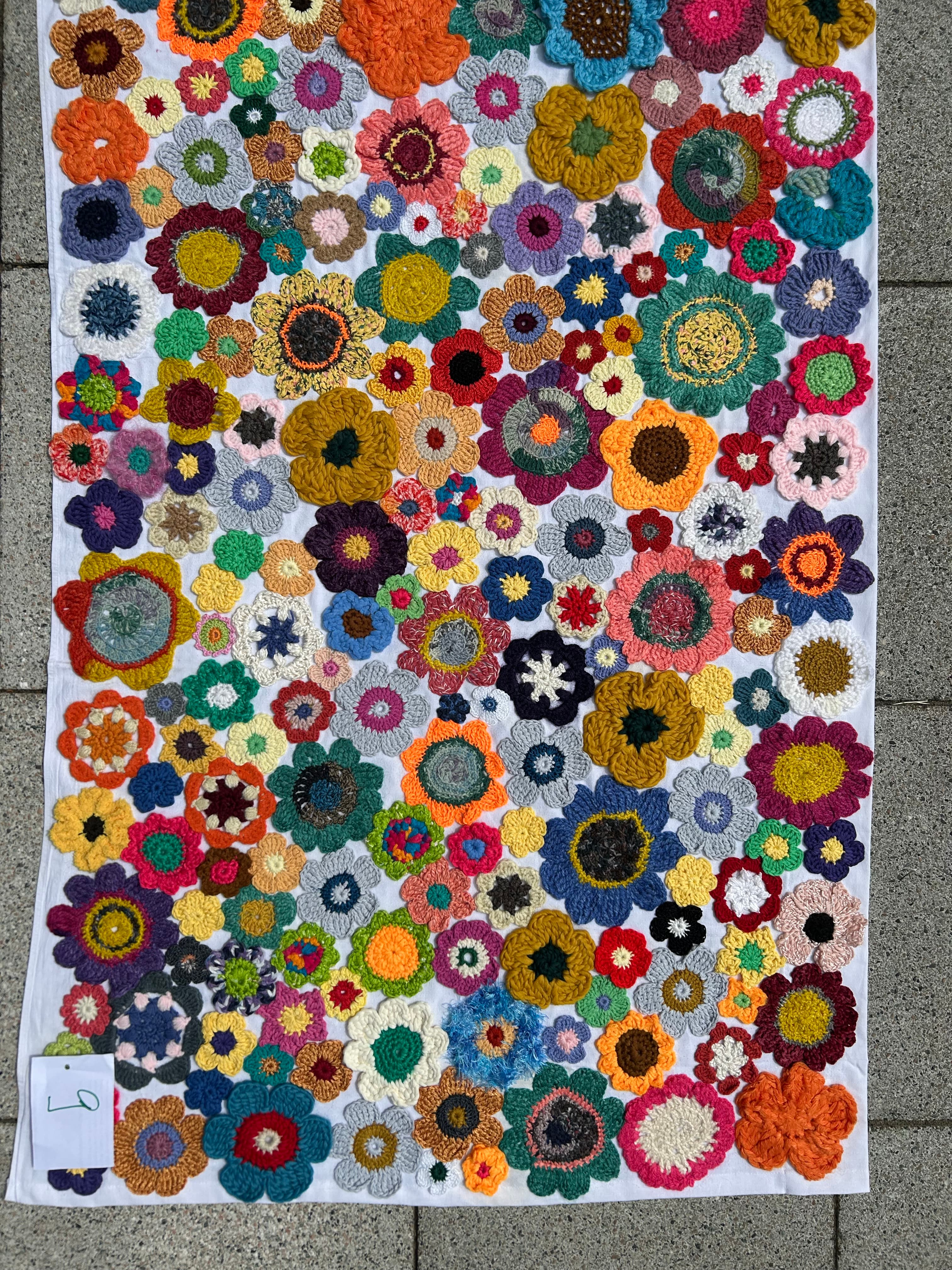 Crocheting for Biodiversity