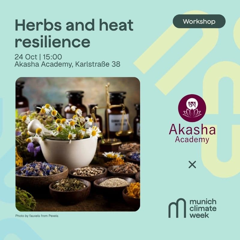 Herbs and heat resilience - Kräuterworkshop