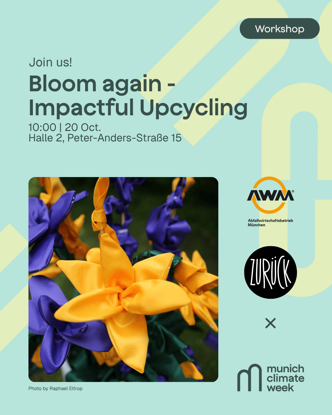 Bloom Again – Impactful Upcycling