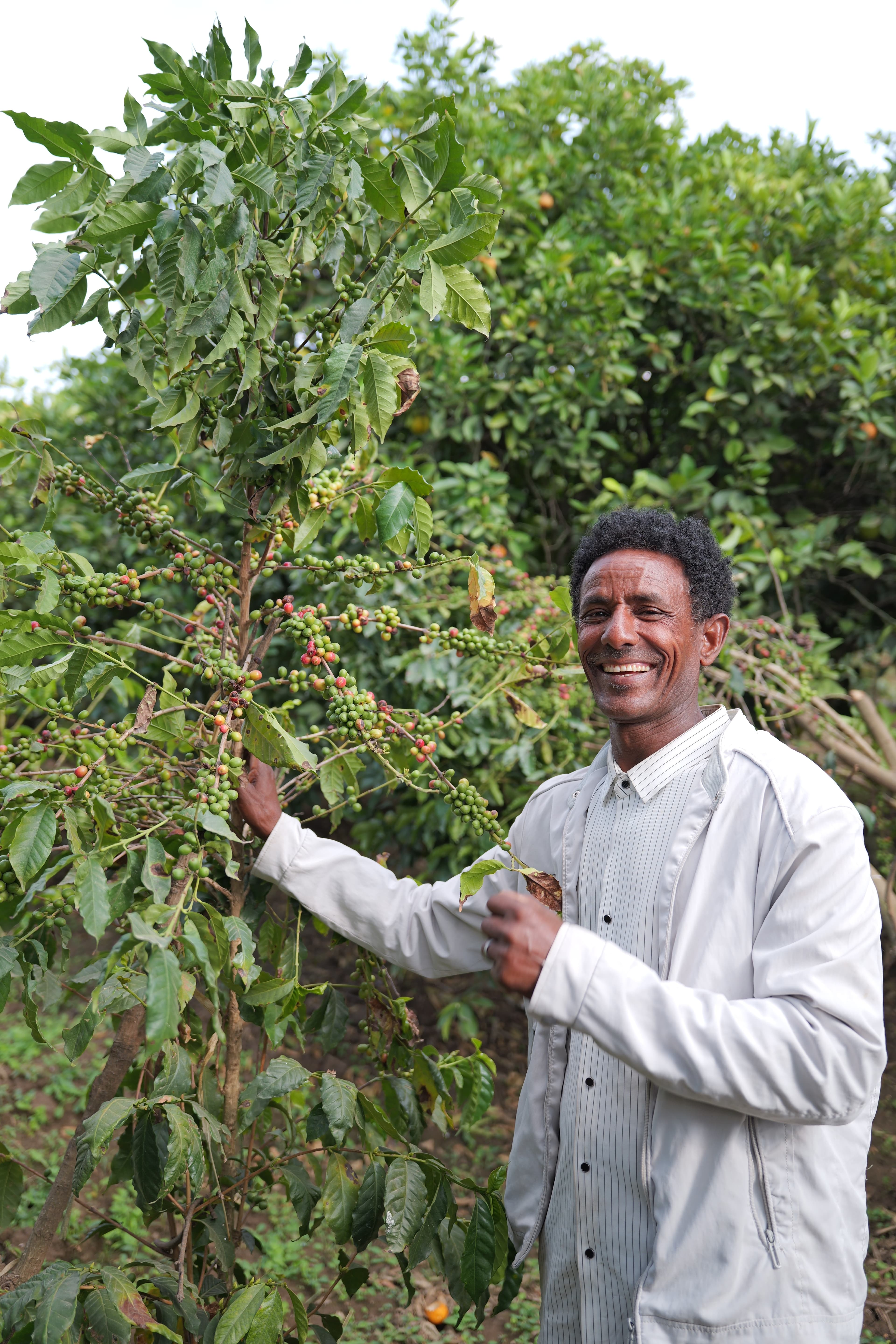 Sustainable Coffee and Carbon Finance